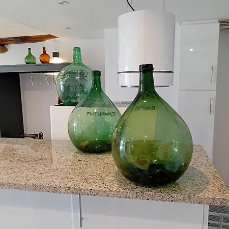 Apartmán Hermoso A Estrenar En El Corazon De La Ribeira Sacra *