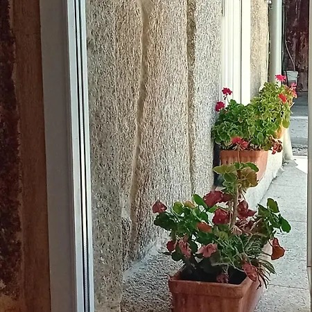 Apartmán Hermoso A Estrenar En El Corazon De La Ribeira Sacra Celeiros